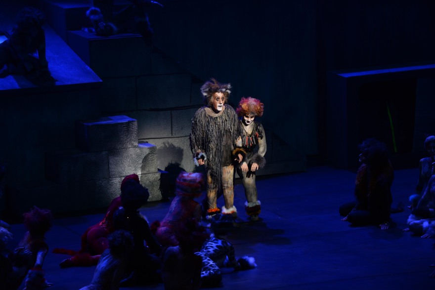 «Cats» αλά ελληνικά: Τα δάκρυα για τον Αρζόγλου, οι τρομερές «Γάτες» και το pole dancing της Συνατσάκη