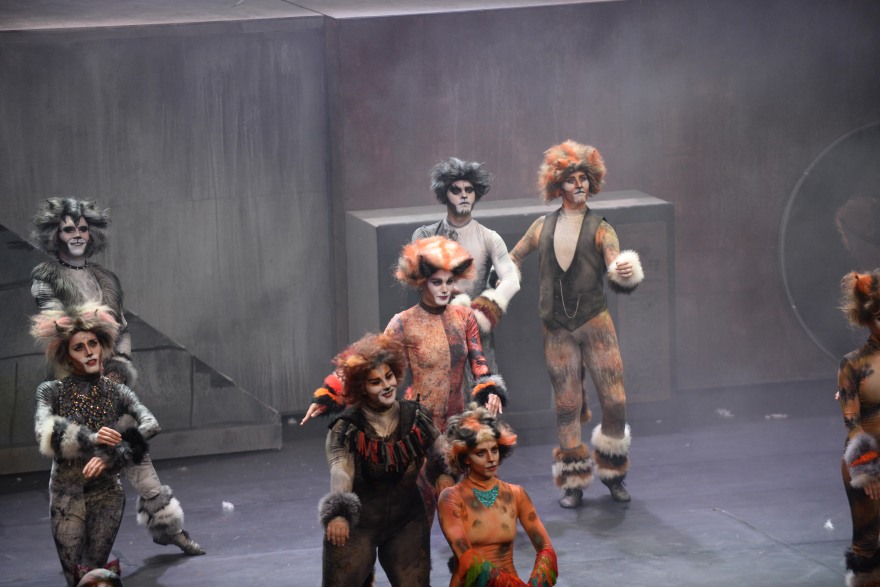 «Cats» αλά ελληνικά: Τα δάκρυα για τον Αρζόγλου, οι τρομερές «Γάτες» και το pole dancing της Συνατσάκη