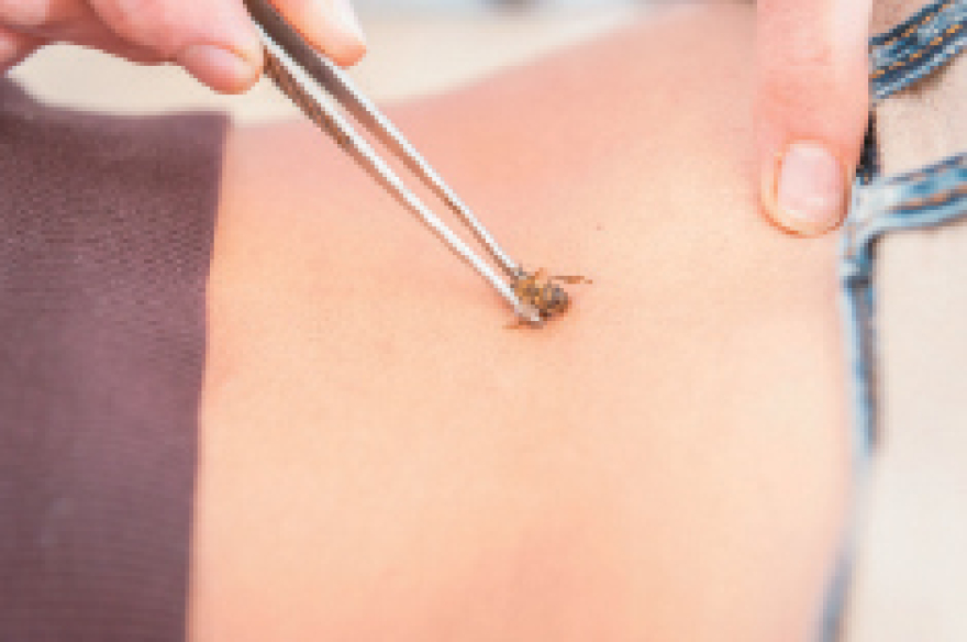 Οι... εναλλακτικές διαδρομές των παιδιών του Γιώργου Παπανδρέου στην Κρήτη