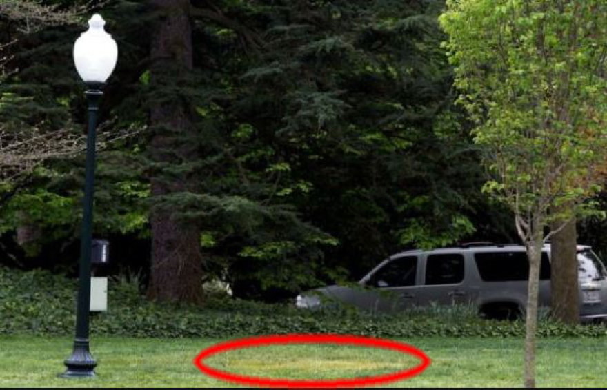 Απίστευτο! Εξαφανίστηκε το δέντρο που φύτεψαν ο Μακρόν και ο Τραμπ στον Λευκό Οίκο