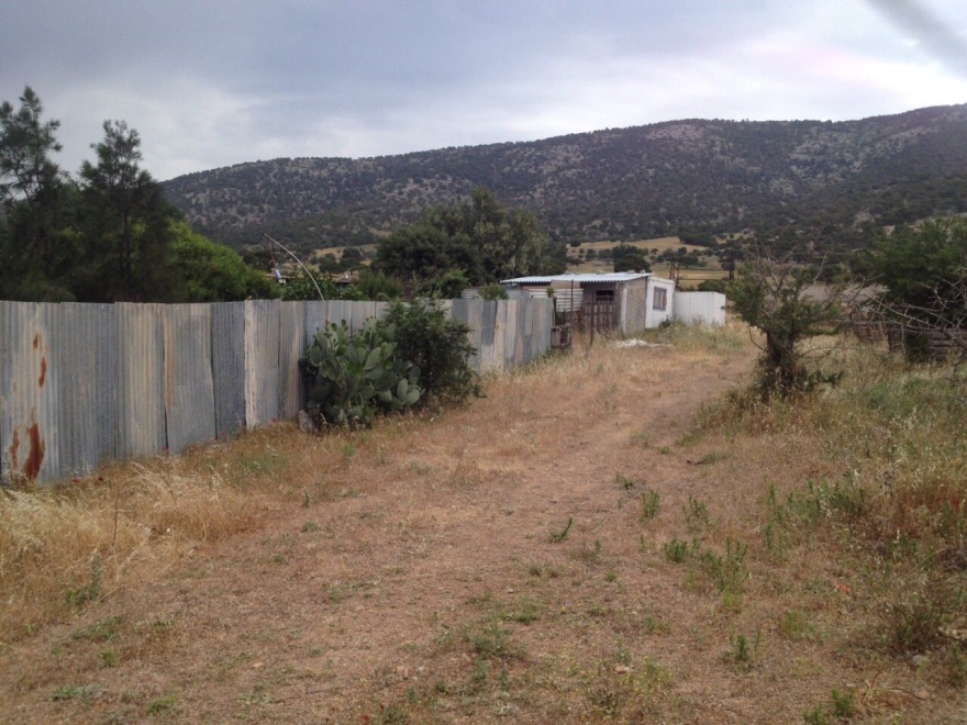 Έγκλημα στον Ασπρόπυργο: «Δεν πιστεύω ότι το έκανε ο παππούς μου» λέει η 19χρονη