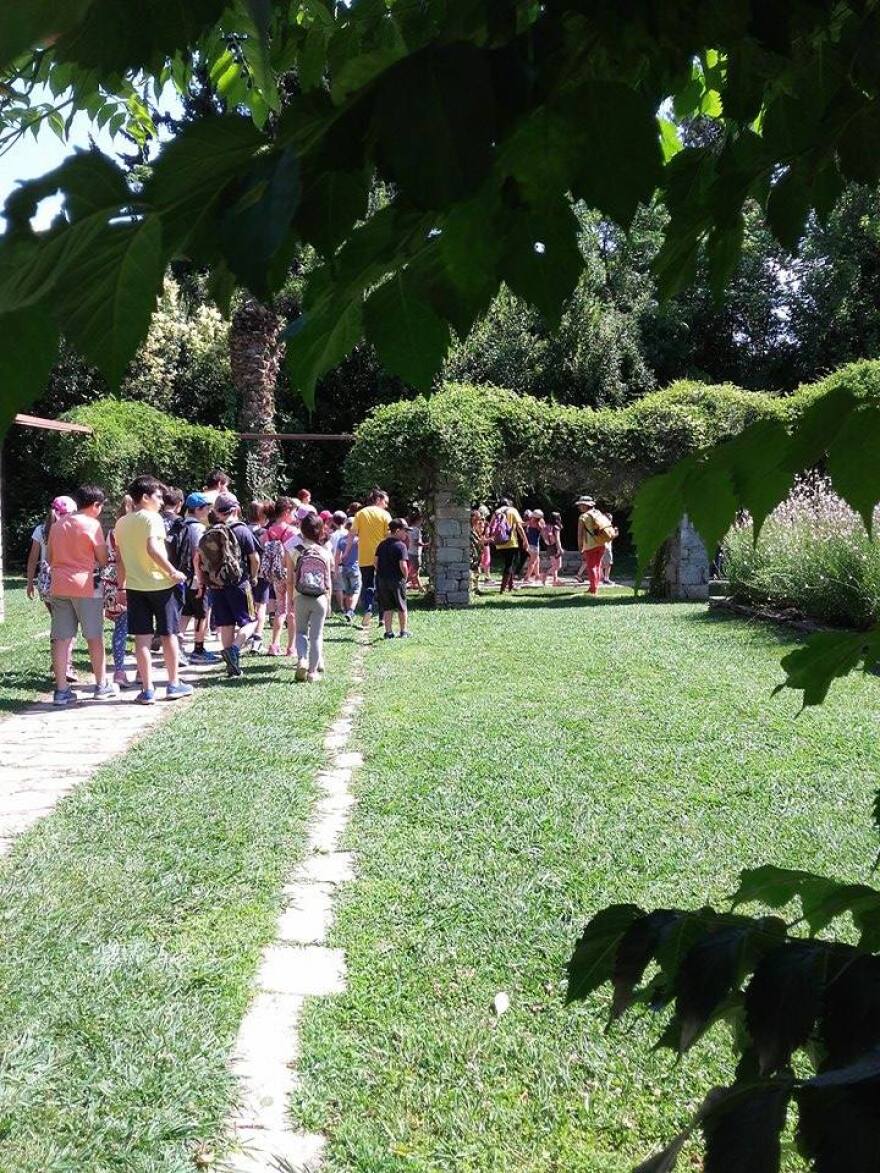 5ο Καλοκαιρινό Καλλιτεχνικό camp των Μορφών Έκφρασης: Τέχνη και χαρά για παιδιά από 5 ετών