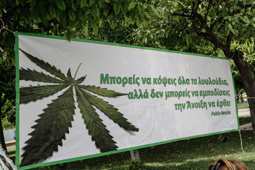 Συγκέντρωση υπέρ της χρήσης κάνναβης στο Σύνταγμα