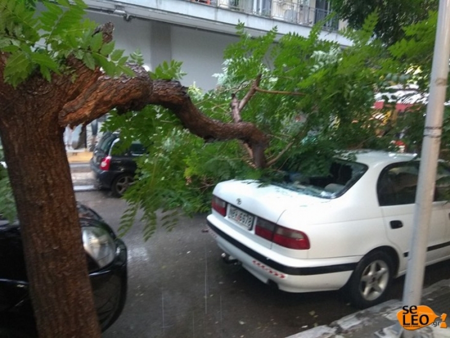 Θεσσαλονίκη: Μεγάλα προβλήματα και καταστροφές από την ισχυρή καταιγίδα