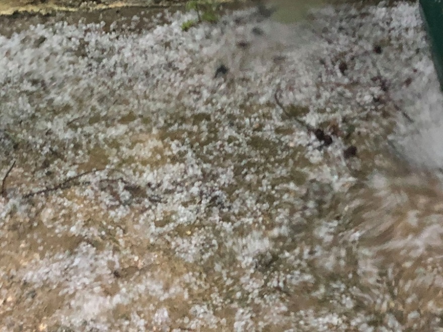 Θεσσαλονίκη: Μεγάλα προβλήματα και καταστροφές από την ισχυρή καταιγίδα