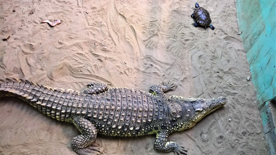 Γύρω από το Στρυμόνα και τη λίμνη Κερκίνη με παιδιά