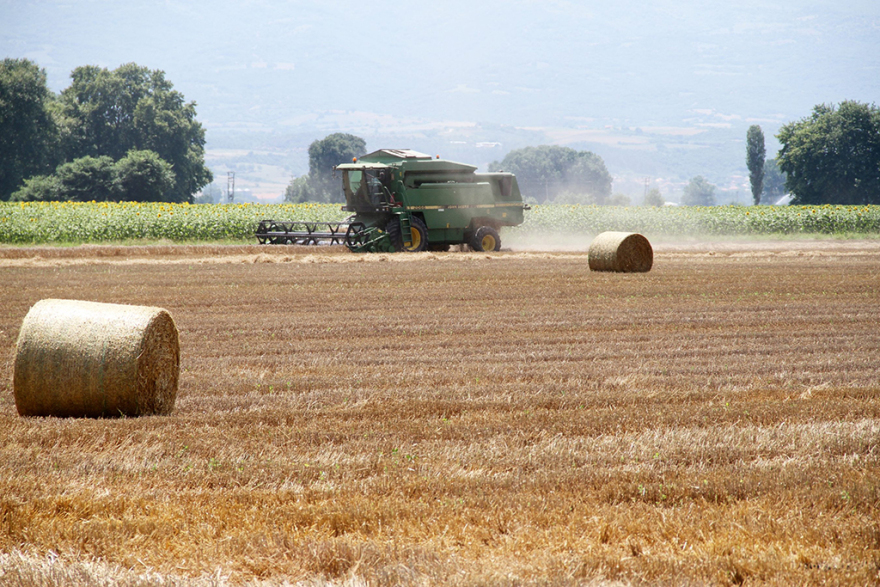 Η Αθηναϊκή Ζυθοποιία γιορτάζει τα 10 χρόνια του Προγράμματος Συμβολαιακής Καλλιέργειας Κριθαριού
