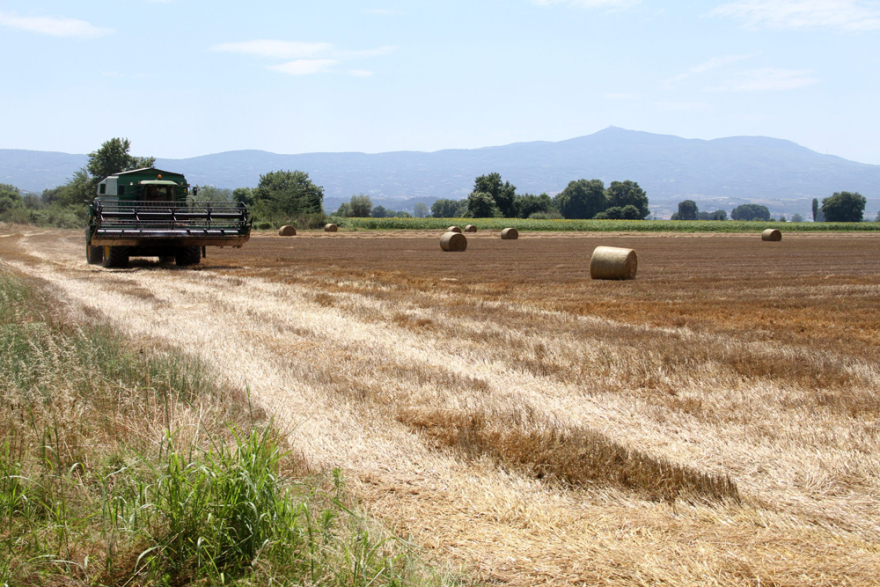  Η Αθηναϊκή Ζυθοποιία γιορτάζει τα 10 χρόνια του Προγράμματος Συμβολαιακής Καλλιέργειας Κριθαριού