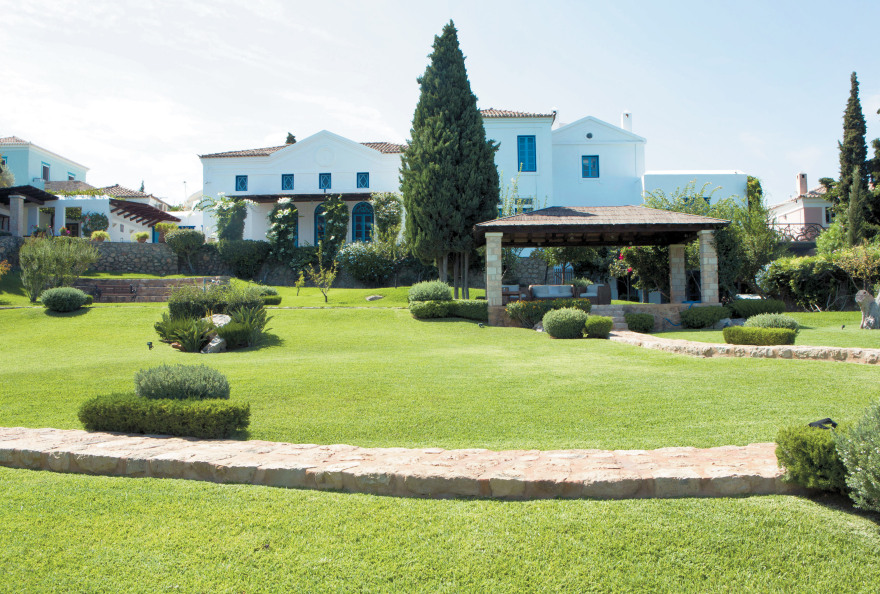 Μπίζνες στην Αθήνα με χυμούς από κάνναβη