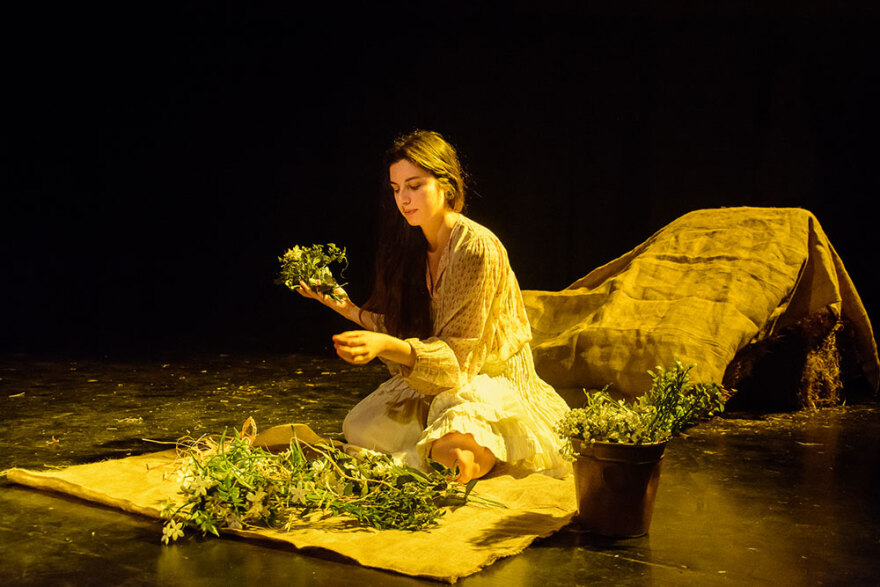 Χειμωνιάτικο Παραμύθι Ουίλιαμ Σαίξπηρ (WINTER'S TALE)