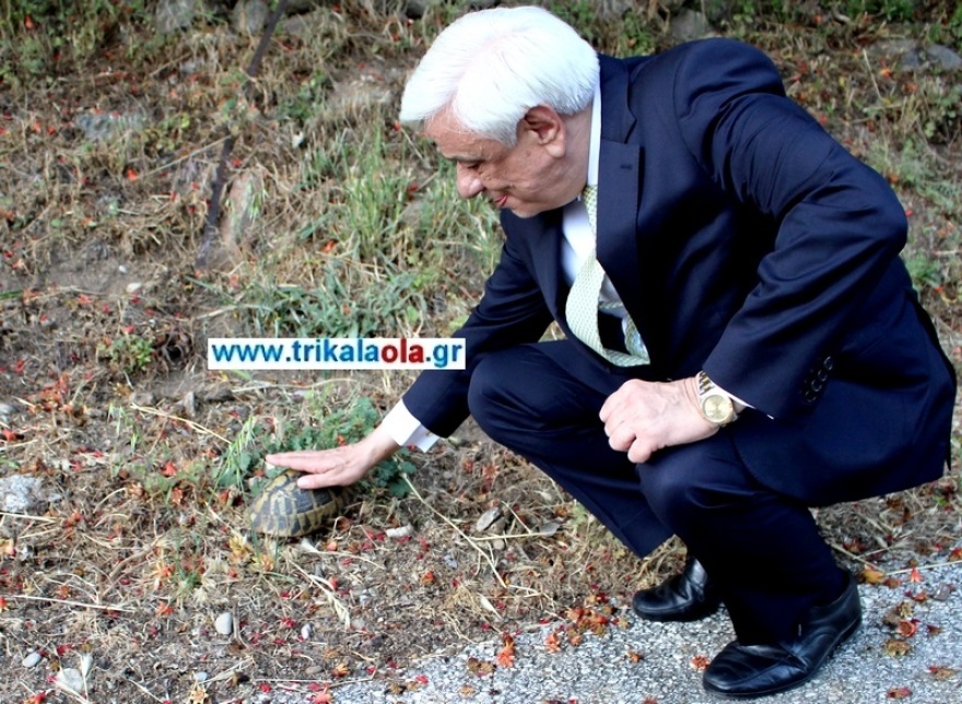 Καλαμπάκα: Η συνάντηση του Προκόπη Παυλόπουλου με μια... χελώνα