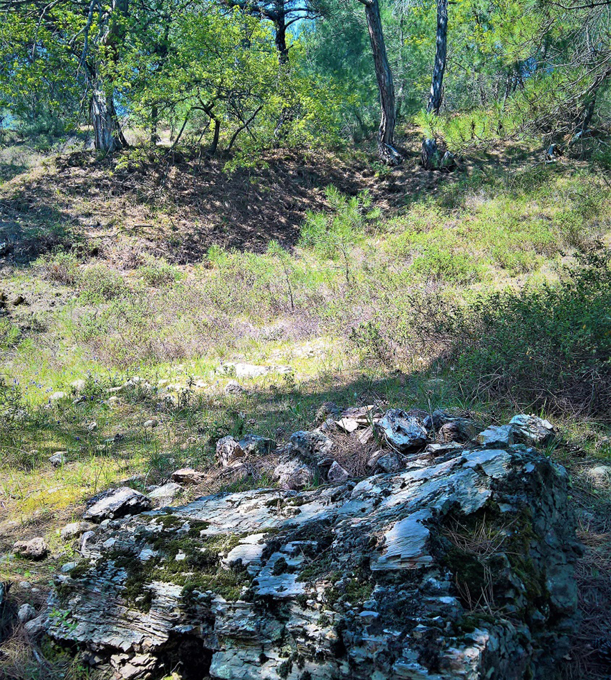 Εξόρμηση στον Έβρο