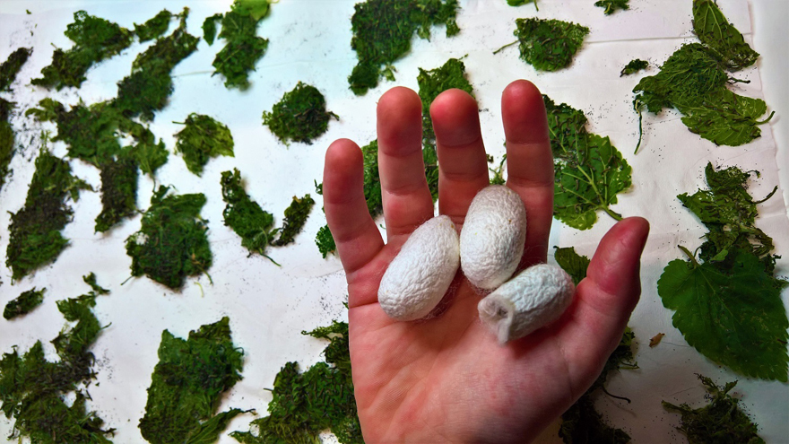 Εξόρμηση στον Έβρο