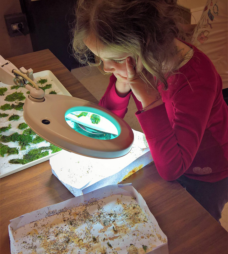 Εξόρμηση στον Έβρο