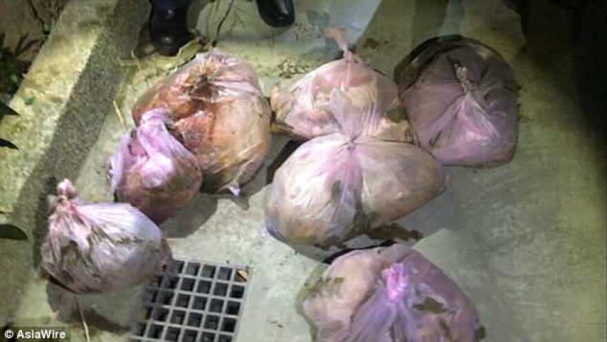 Η απόλυτη φρίκη στην Ταϊβάν: Ο πυγμάχος που διαμέλισε την κοπέλα του πιθανώς έφαγε τα όργανά της!