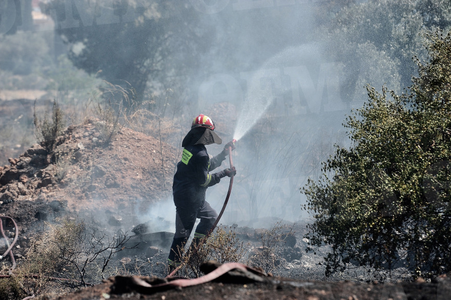 Φωτιά στο άλσος Συγγρού: Ένα Canadair και δύο PZL έσβησαν τις φλόγες