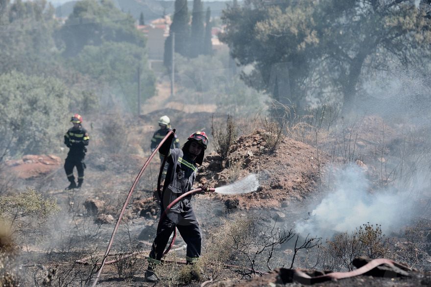 Φωτιά στο άλσος Συγγρού: Ένα Canadair και δύο PZL έσβησαν τις φλόγες