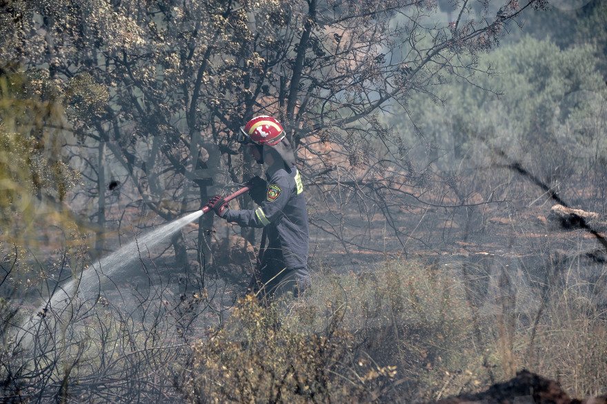 Φωτιά στο άλσος Συγγρού: Ένα Canadair και δύο PZL έσβησαν τις φλόγες
