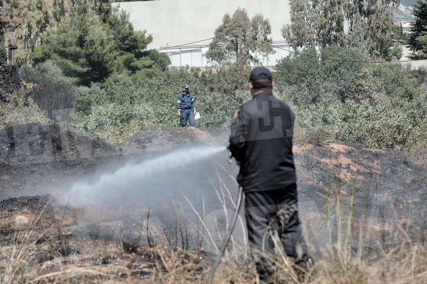 Φωτιά στο άλσος Συγγρού: Ένα Canadair και δύο PZL έσβησαν τις φλόγες