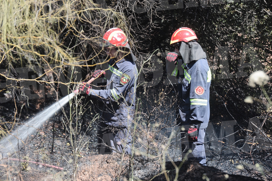 Φωτιά στο άλσος Συγγρού: Ένα Canadair και δύο PZL έσβησαν τις φλόγες