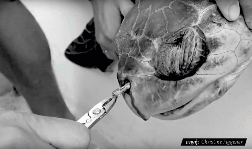 Ερώτηση του Ποταμιού στη Βουλή για τη χρήση των πλαστικών 