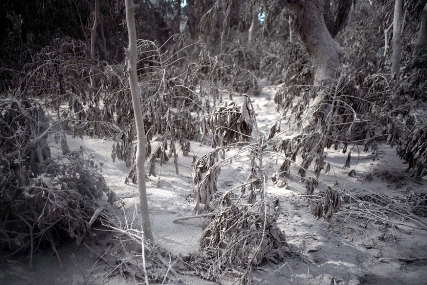 Φωτογραφίες από το ηφαίστειο στη Γουατεμάλα: Στους 69 οι νεκροί