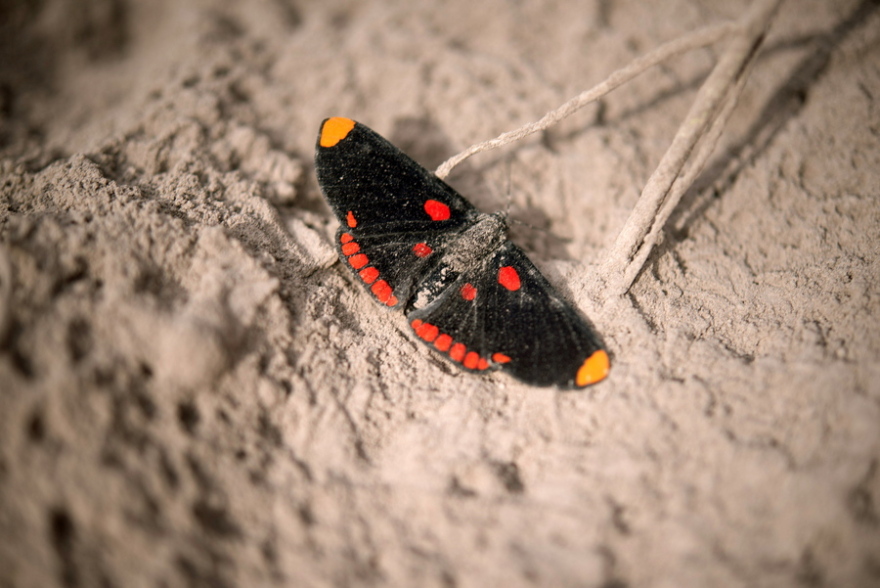 Φωτογραφίες από το ηφαίστειο στη Γουατεμάλα: Στους 69 οι νεκροί