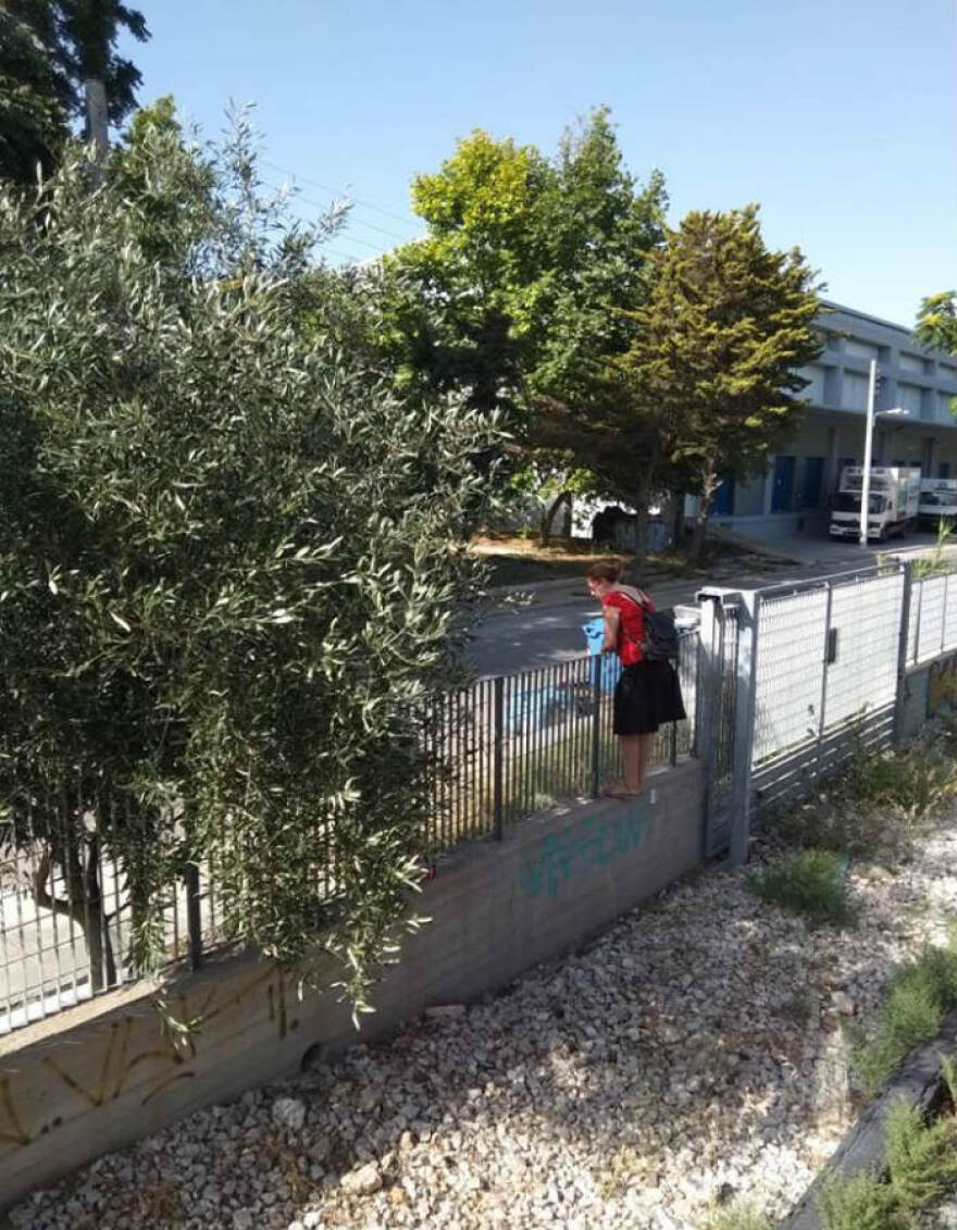 Έπεσε δέντρο στη γραμμή του ΗΣΑΠ στο Μοσχάτο