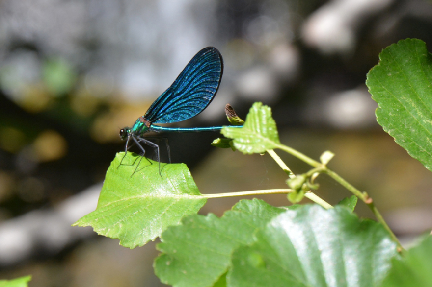 Στην Άνδρο με παιδιά! 