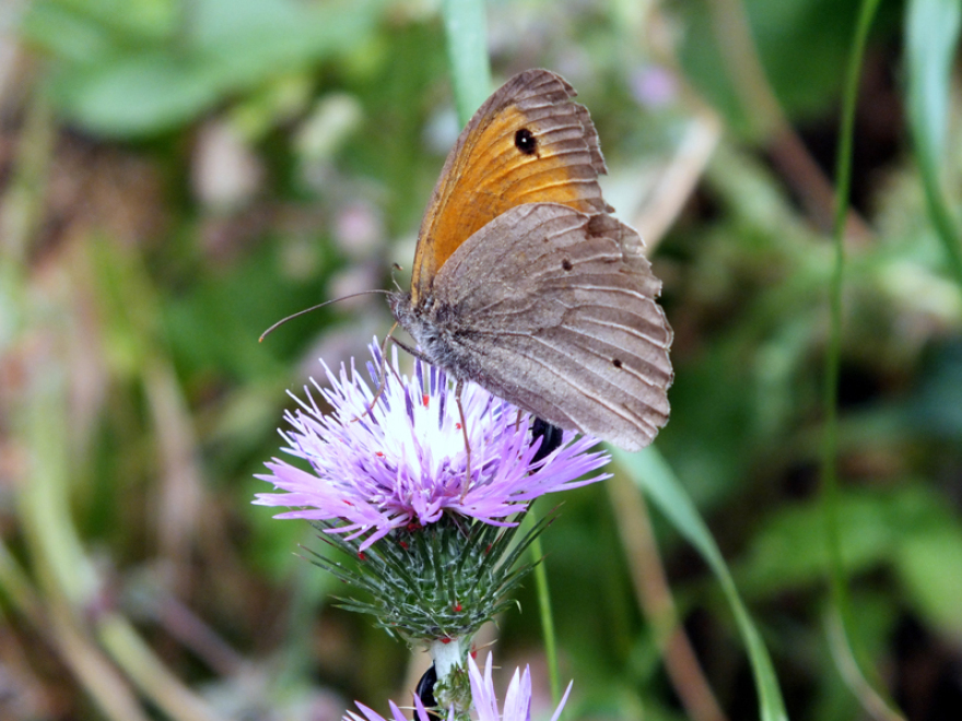 Στην Άνδρο με παιδιά! 