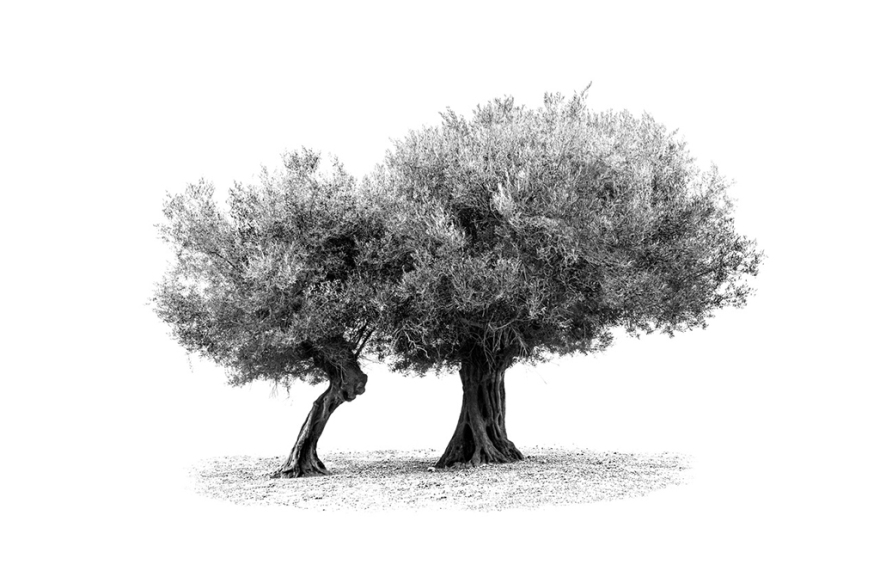 Νικόλαος: Ο γητευτής του φωτός 