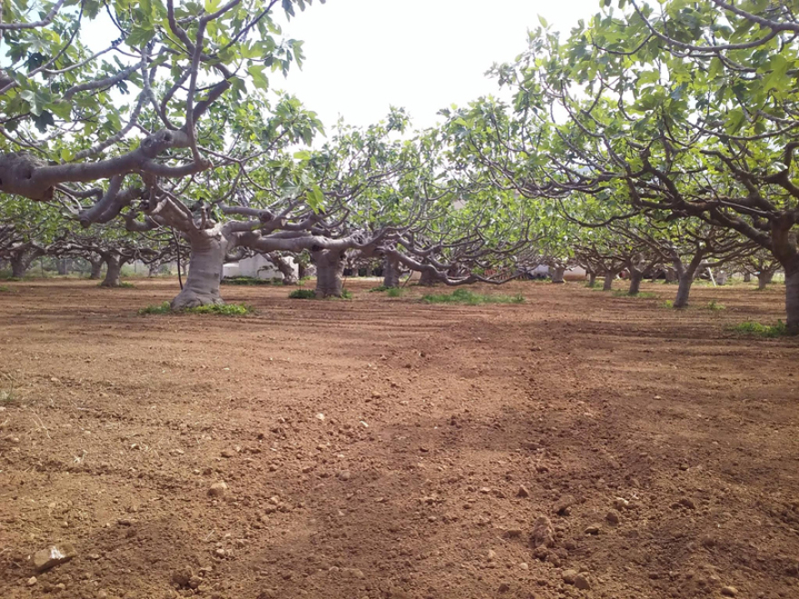 Όταν η ιστορία συναντά ένα προϊόν 