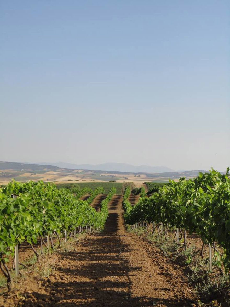 Μια παράδοση που συνεχίζεται 