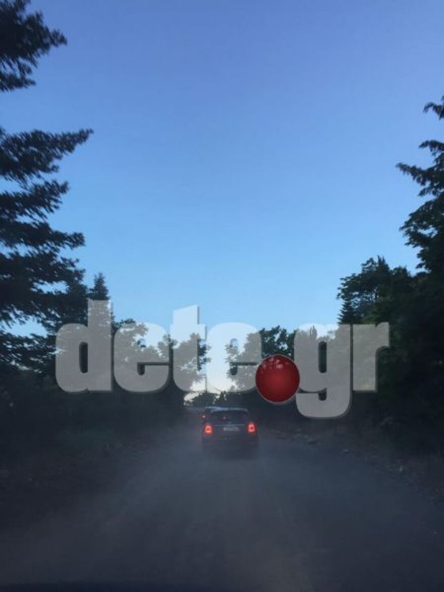 Παρουσιάστηκε στο τμήμα και συνελήφθη ο κρεοπώλης που σκότωσε την 13χρονη τσιγγάνα στην Άμφισσα