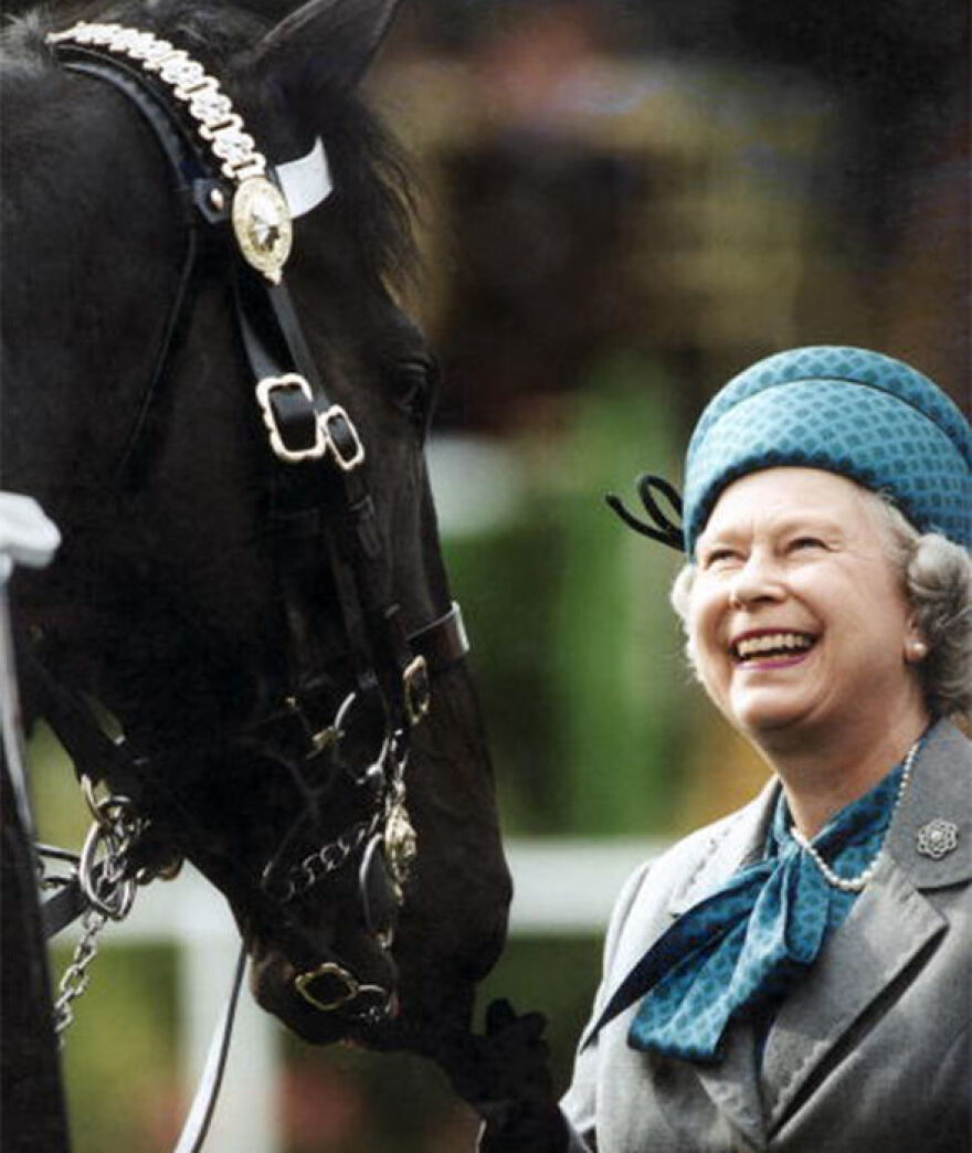Η 92χρονη βασίλισσα Ελισάβετ παρακολουθεί μέσω iPad τους στάβλους της!