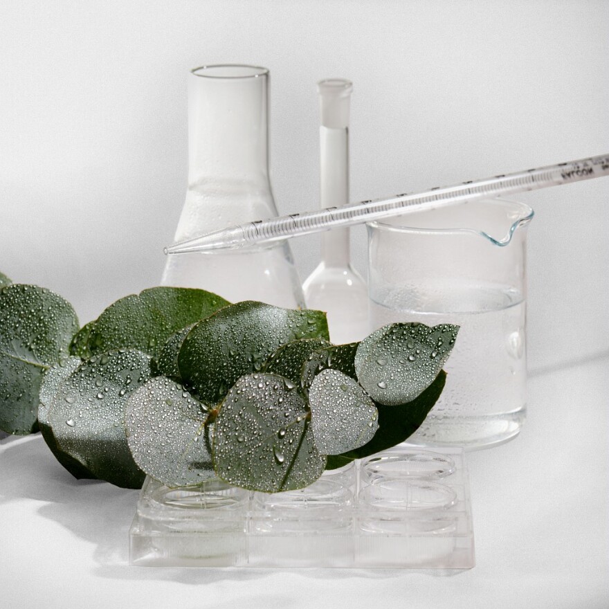 Η L'Oréal επιταχύνει το μετασχηματισμό της το 2017