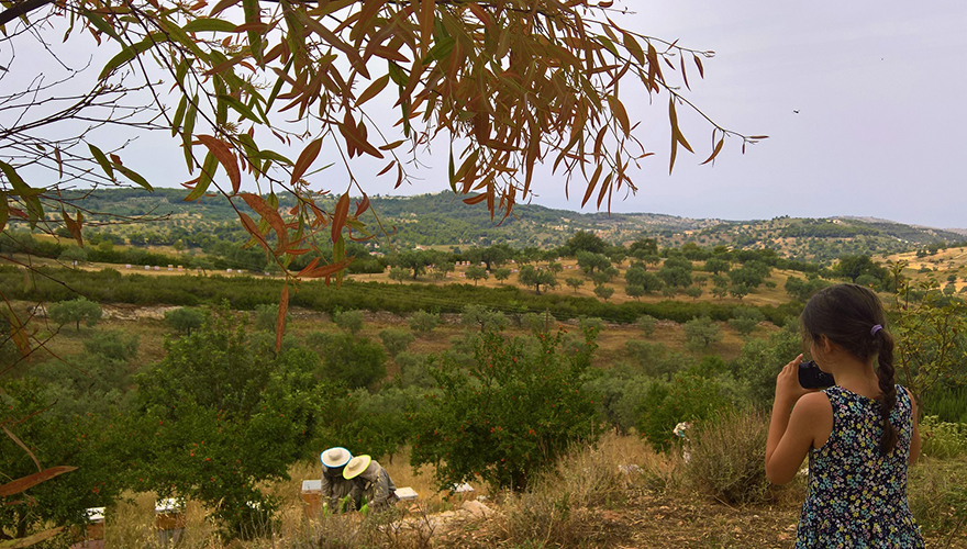 Μελισσοκόμος για μια μέρα