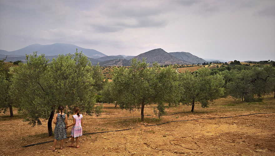 Μελισσοκόμος για μια μέρα