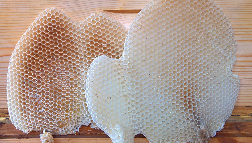 Μελισσοκόμος για μια μέρα