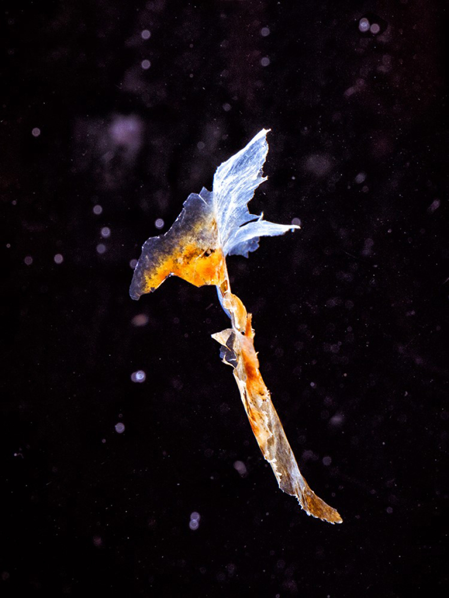 Ατζέντα: Πού να βγείτε, τι να δείτε