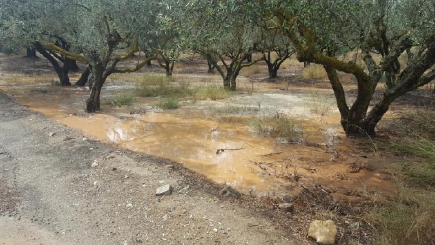 Κρήτη: Η βροχή «έπνιξε» τις καλλιέργειες στη Μεσαρά (βίντεο)
