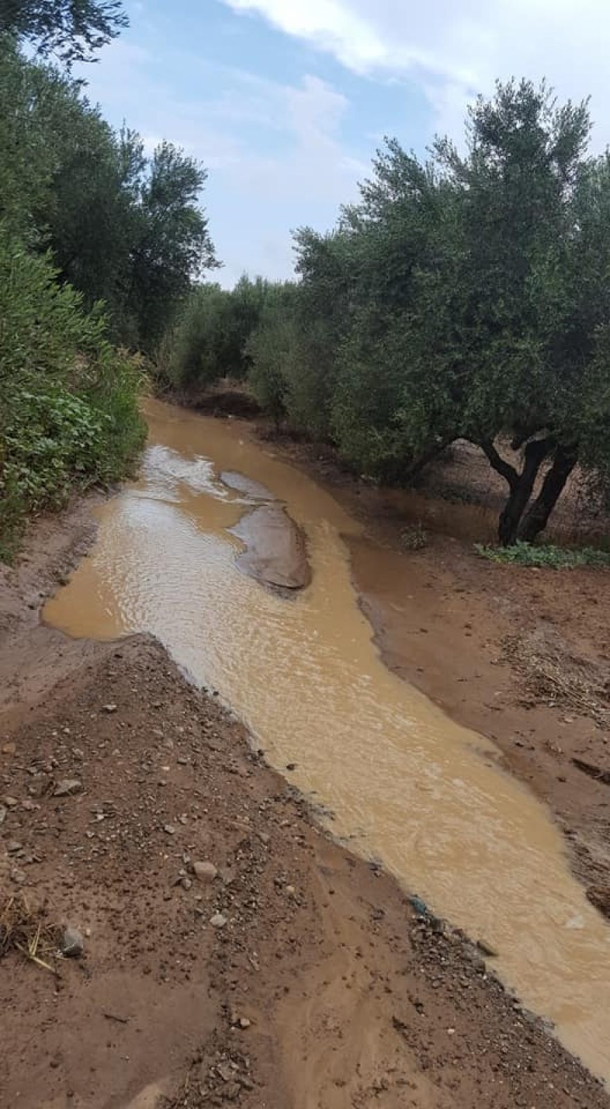 Κρήτη: Η βροχή «έπνιξε» τις καλλιέργειες στη Μεσαρά (βίντεο)