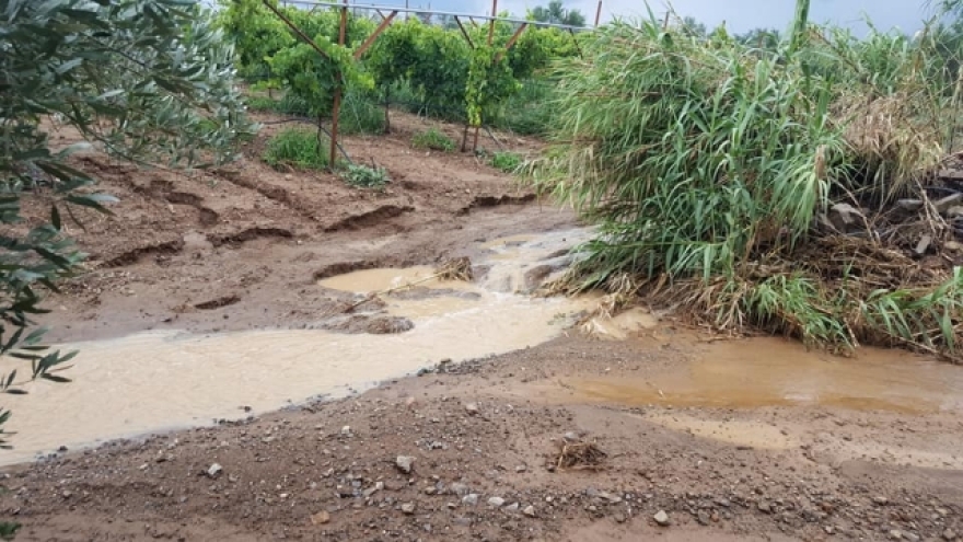 Κρήτη: Η βροχή «έπνιξε» τις καλλιέργειες στη Μεσαρά (βίντεο)