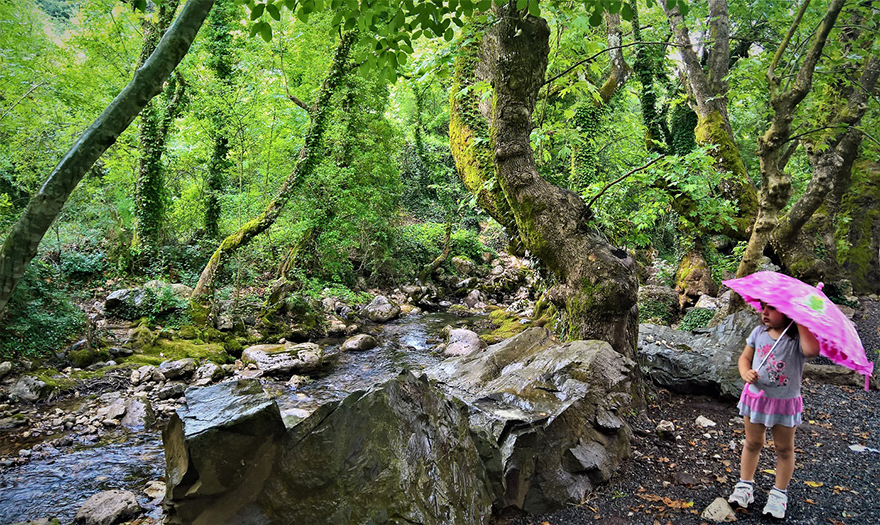 Στο εκκλησάκι με τα 17 πλατάνια
