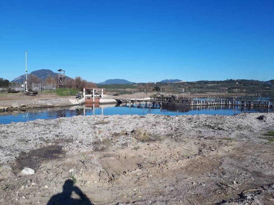 Το χαβιάρι της Κέρκυρας: Ένα από τα εκλεκτότερα ελληνικά ντελικατέσεν προϊόντα στον κόσμο