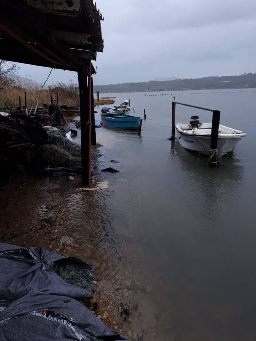 Το χαβιάρι της Κέρκυρας: Ένα από τα εκλεκτότερα ελληνικά ντελικατέσεν προϊόντα στον κόσμο