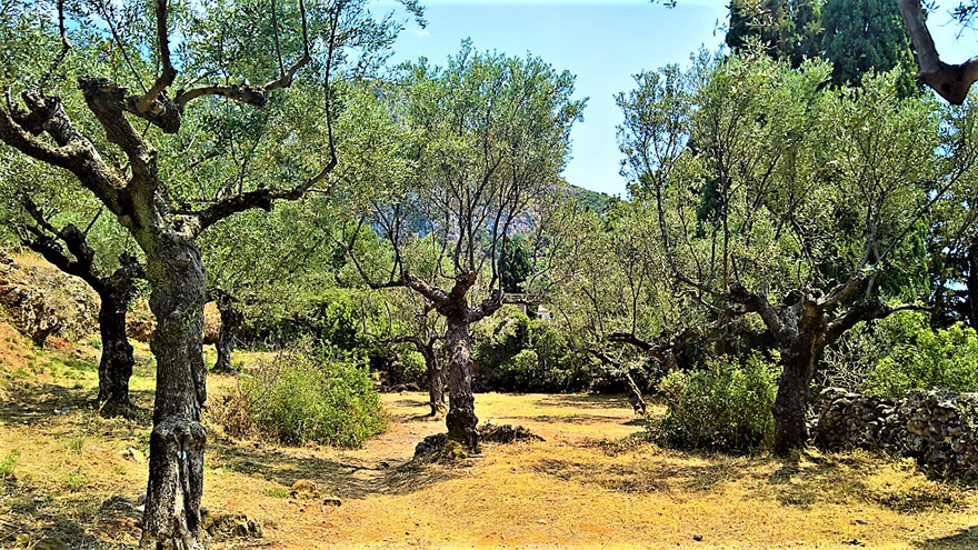 Μεσσηνιακή Μάνη