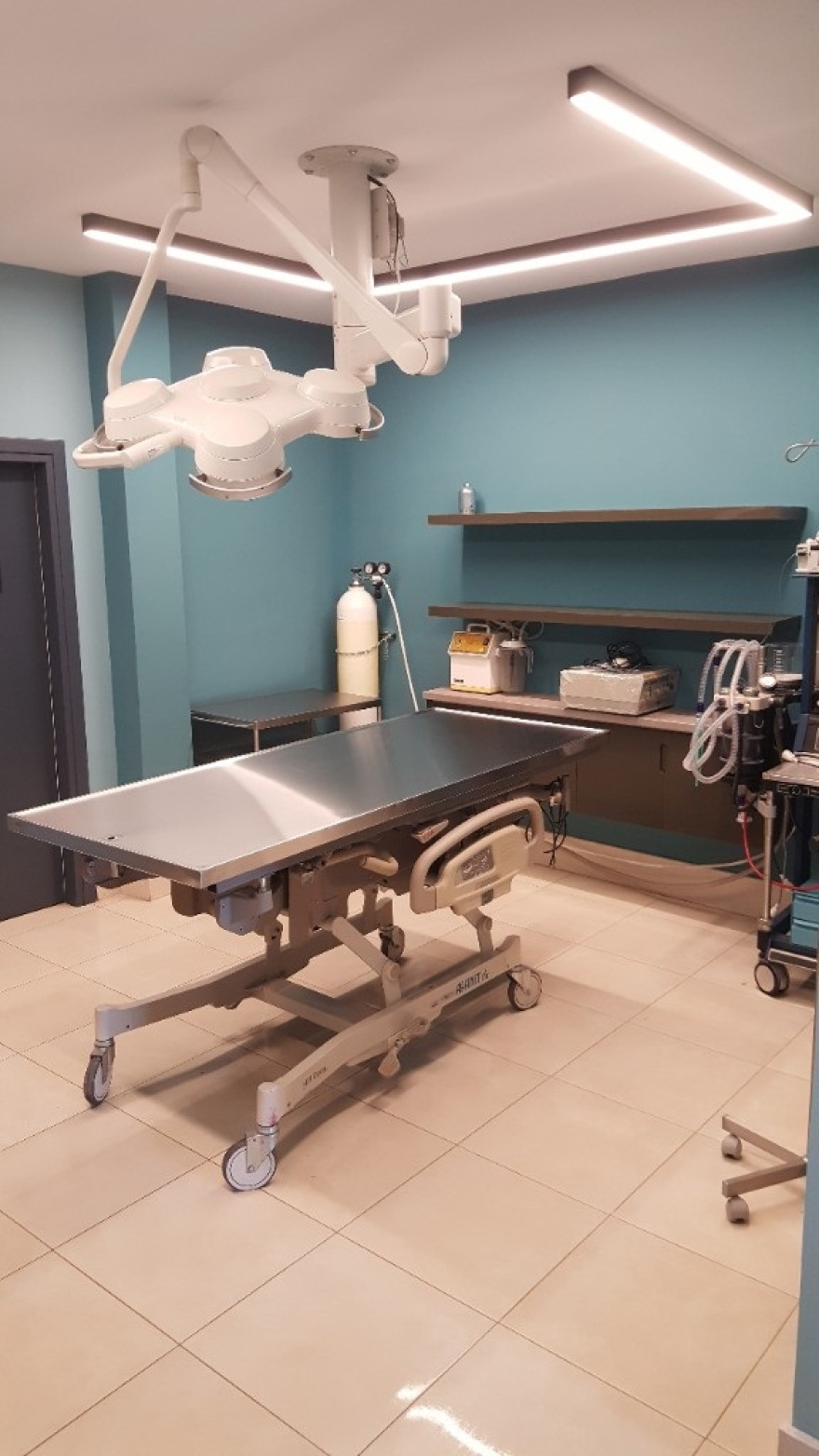 Στη Φλώρινα το πρώτο εξειδικευμένο κτηνιατρείο άγριων θηλαστικών από τον «Αρκτούρο»