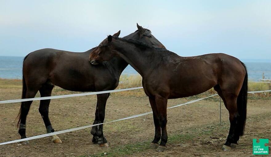 Απλά και σταράτα: «Γίνε μέρος της λύσης»