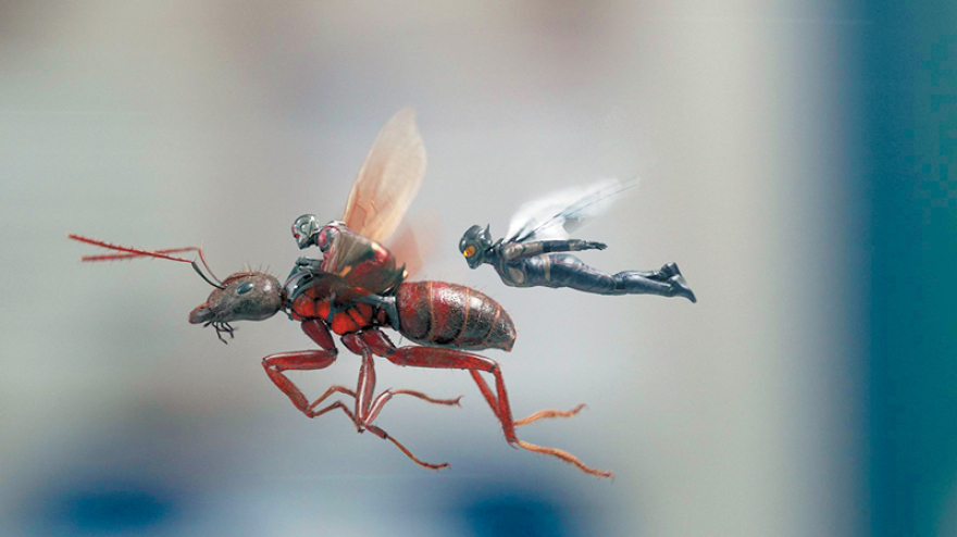  Εβάντζελιν Λίλι:  Γερό τσίμπημα